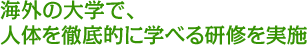 ��������ؤǡ����Τ�Ű��Ū�˳ؤ٤븦����»�