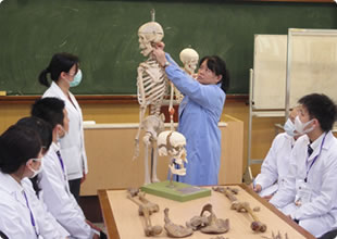 解剖実習はじっくりと学ぶことができるよう少人数制で行われます。学生の真剣なまなざしが印象的です。